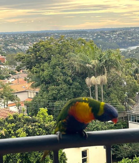 Mosman Views, 2bed, Parking, 15min Walk To Beach - Accommodation Georgetown 1