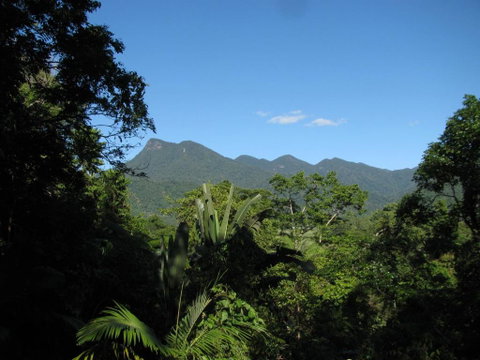Mossman Gorge Bed And Breakfast - Accommodation Georgetown 0
