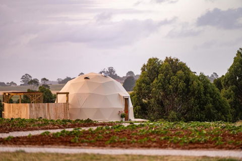 Mount Gnomon Farm - Accommodation Georgetown 0