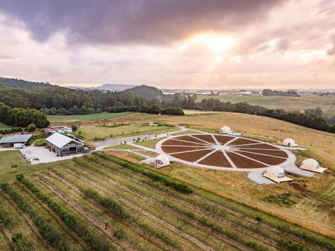 Mount Gnomon Farm - Accommodation Georgetown 2