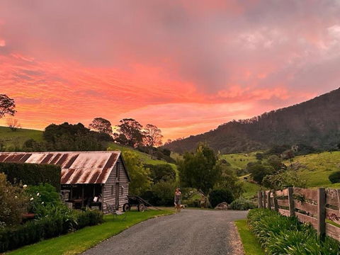 Mountain View Tilba Tilba - Accommodation Georgetown 1