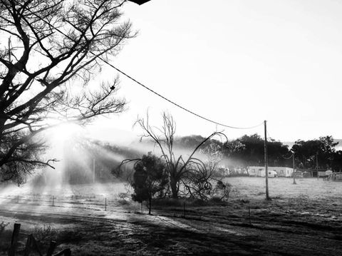 Mountview Wines And Accommodation - Accommodation Georgetown 1