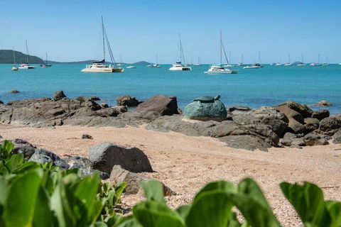 NEW! Gorgeous 2BR Apartment With Stunning Ocean Views! - Accommodation Georgetown 1