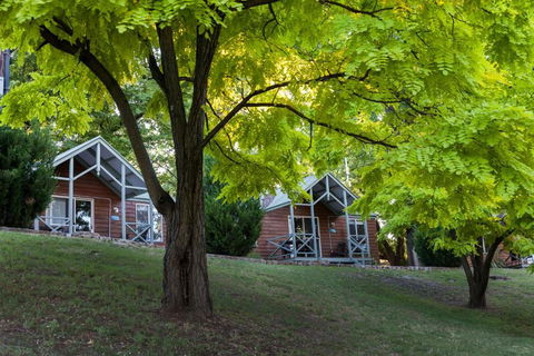 NRMA Bright Holiday Park - Accommodation Georgetown 3