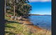 On The Huon River - thumb 1