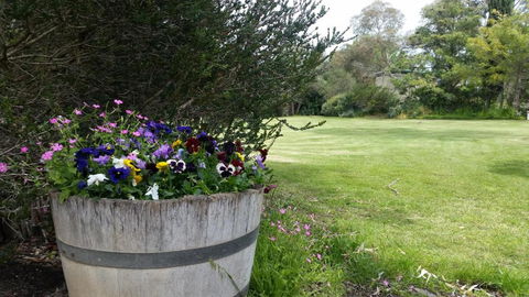 Padthaway Caravan Park - Accommodation Georgetown 0