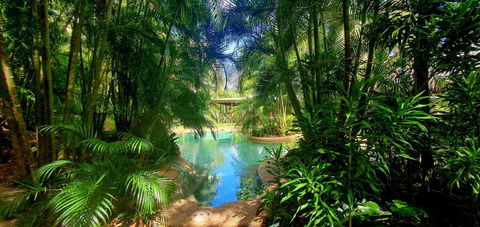 Paperbark Retreat - Accommodation Georgetown 3