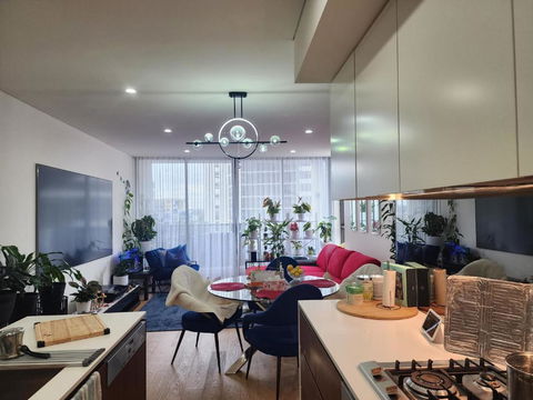 Parramatta Shared Apartment,gym,swimming Pool - Accommodation Georgetown 3