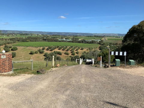 Pedlar Creek Tiny House By Tiny Away - Accommodation Georgetown 2