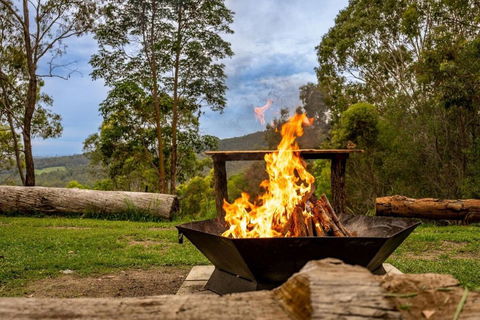 Personal Sauna & Ice-bath At Kookaburra Cabin - Accommodation Georgetown 2