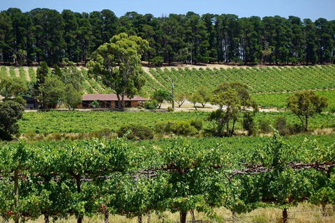 Picturesque Vineyard Farmhouse Nestled On 40-Acres - Accommodation Georgetown 0