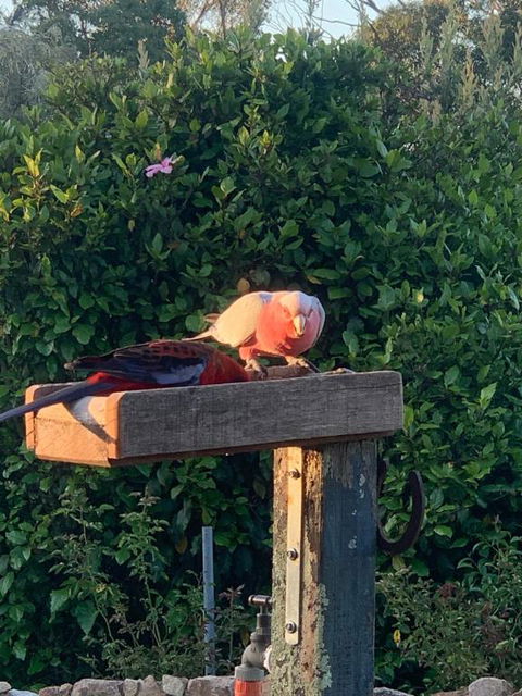 Pier 9 - Accommodation Georgetown 3