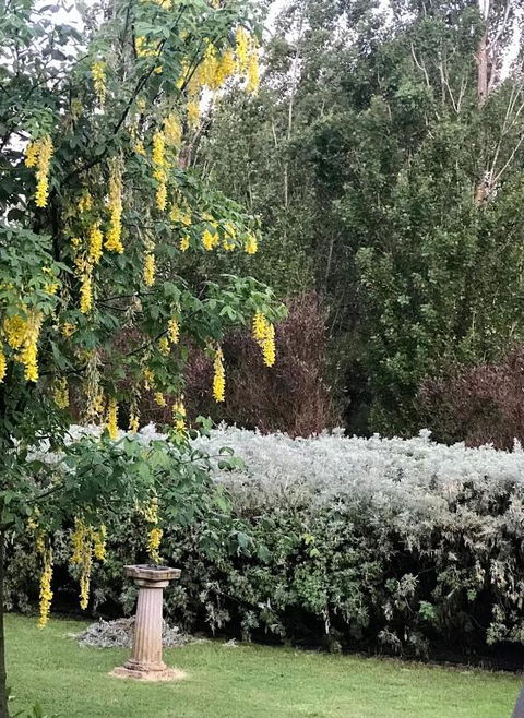 Pierrepoint Accommodation - Accommodation Georgetown 1