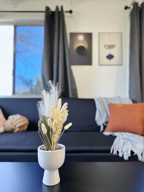 Popular Central Location King Bed The Repose - Accommodation Georgetown 2