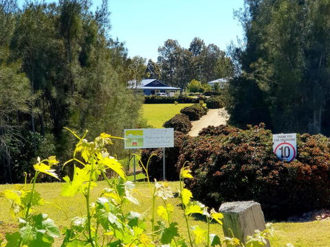 Red Door Collective - RDC Vineyard Estate, Luxury Adult Only Stay - Accommodation Georgetown 0