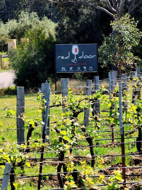 Red Door Collective - RDC Vineyard Estate, Luxury Adult Only Stay - Accommodation Georgetown 1