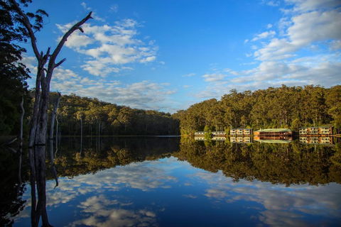 RAC Karri Valley Resort - Accommodation Georgetown 3