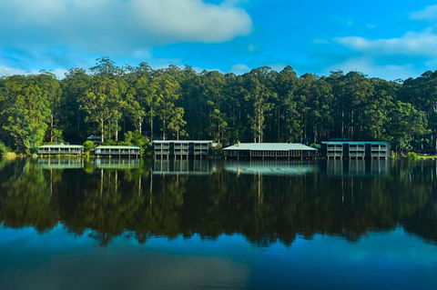 RAC Karri Valley Resort - Accommodation Georgetown 2
