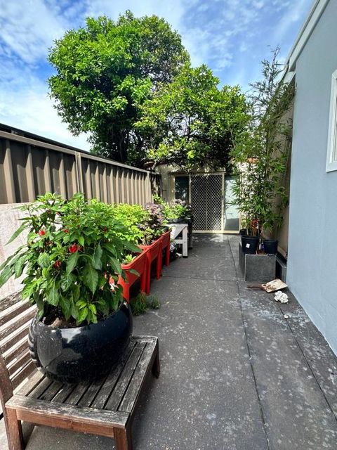 Private, Local Living Studio In Mascot, Airport - Accommodation Georgetown 2