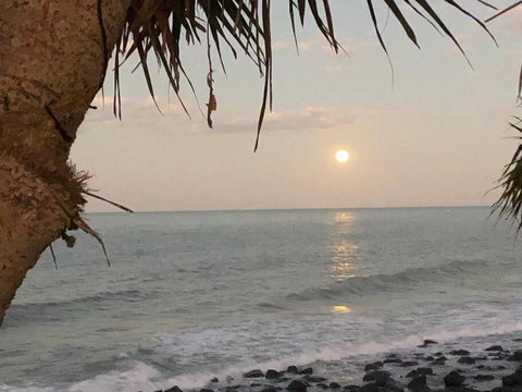 PRIVATE OCEAN FRONT, PET FRIENDLY OASIS! - Accommodation Georgetown 1