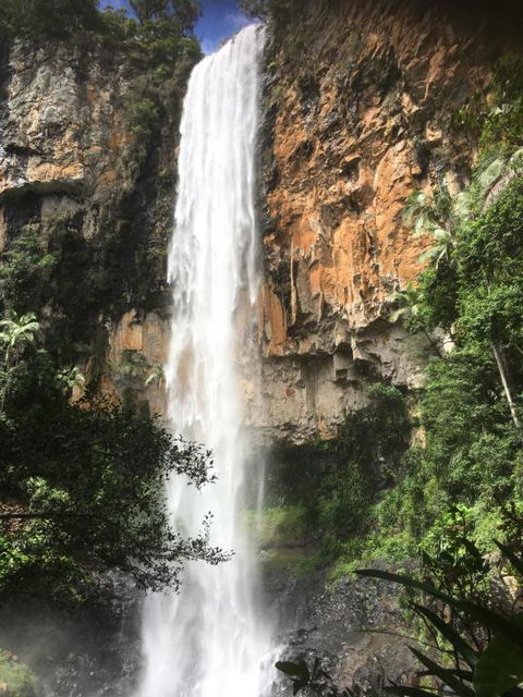 Purling Brook Falls Gwongorella - Accommodation Georgetown 1