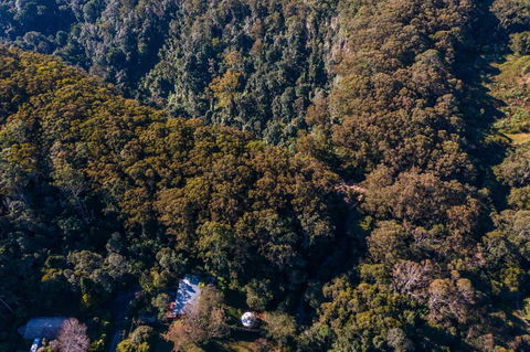 Purling Brook Falls Gwongorella - Accommodation Georgetown 2