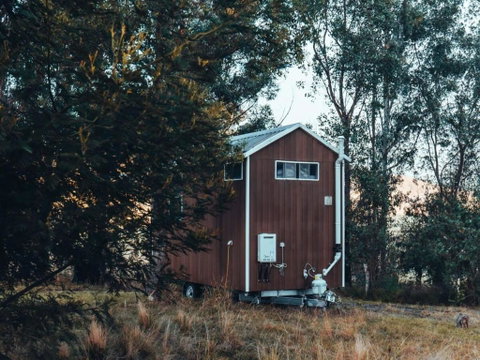 Raintree Farmstay By Tiny Away - Accommodation Georgetown 1