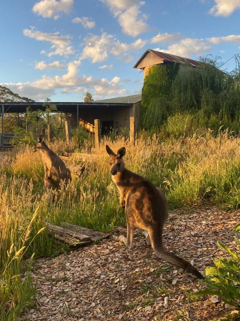 Private Country Escape With Valley Views - Accommodation Georgetown 2