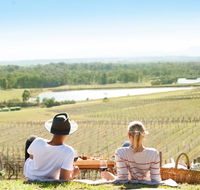 Audrey Wilkinson Vineyard - Accommodation Georgetown
