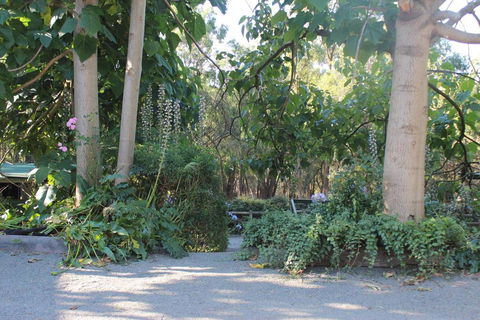 Avoca Park - Accommodation Georgetown 0