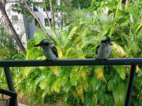 Baden 45 - Rainbow Shores, Beachside Unit, Aircon, Swimming Pool, Tennis Court - Accommodation Georgetown 3