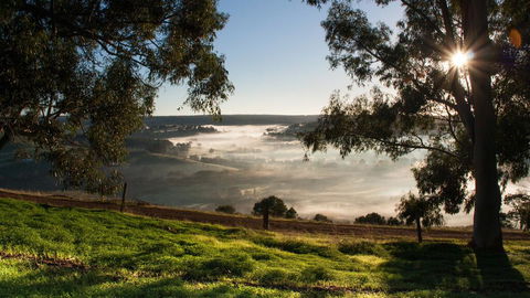 Balingup Heights Hilltop Forest Cottages - Accommodation Georgetown 0