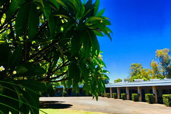Balonne River Motor Inn with Accommodation Georgetown
