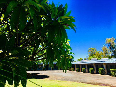 Balonne River Motor Inn - Accommodation Georgetown 0