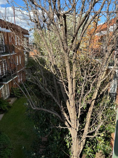 Regents Gate East Melbourne - Accommodation Georgetown 1