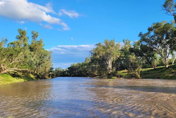 River Cottage with Accommodation Georgetown