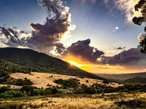 Roam Merrijig - Luxury Stay With Mountain Views - Foothills Of Mt Buller - Accommodation Georgetown 1