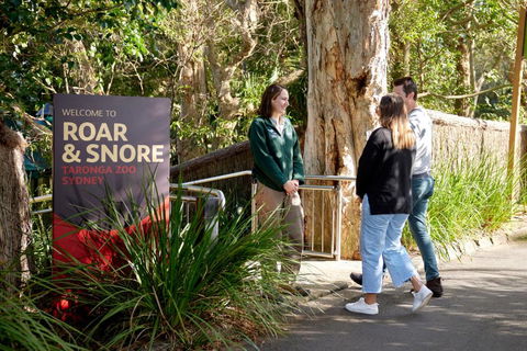 Roar And Snore - Accommodation Georgetown 1