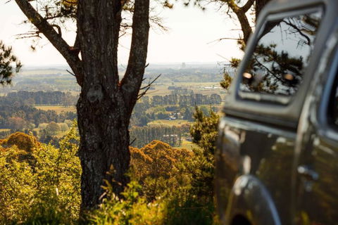 Romantic Luxury Tiny Home In An Idyllic Setting - Accommodation Georgetown 1