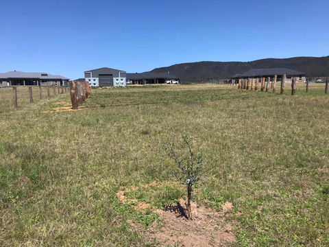 Rosehill Vines - Accommodation Georgetown 3