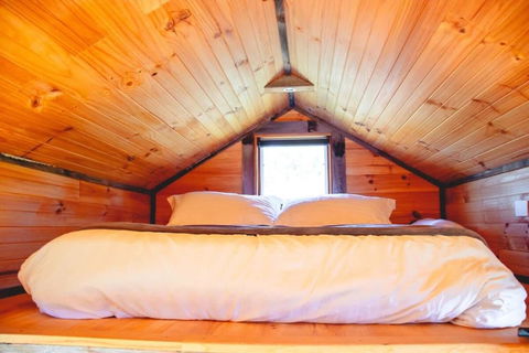 Saddle Country Escape By Tiny Away - Accommodation Georgetown 3