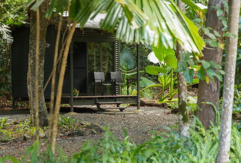 Safari Lodge - Accommodation Georgetown 2