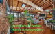 Sea View Holiday Plant Flat, Close To CBD And Beach - thumb 2