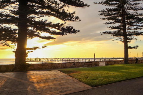 Seafield Tower Glenelg Apartment No 5 - Accommodation Georgetown 2