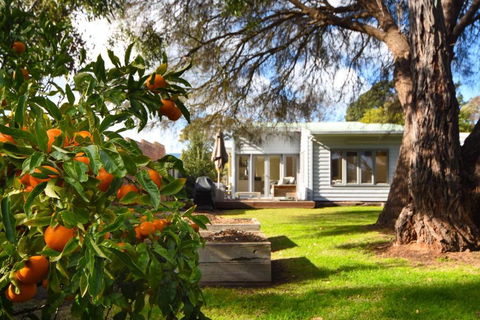 Seascape Of Flinders - Accommodation Georgetown 0