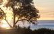 Seaview At Gannett - thumb 3