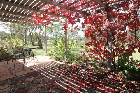 Severn River Cottages - Accommodation Georgetown 2