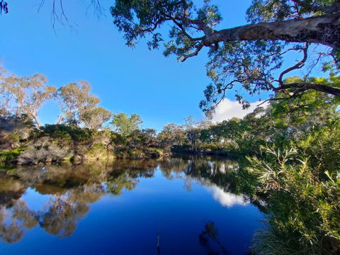 Severn River Cottages - Accommodation Georgetown 1
