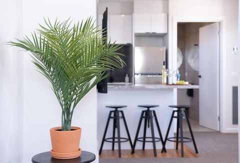 Silversands Beach Cottage - Accommodation Georgetown 0