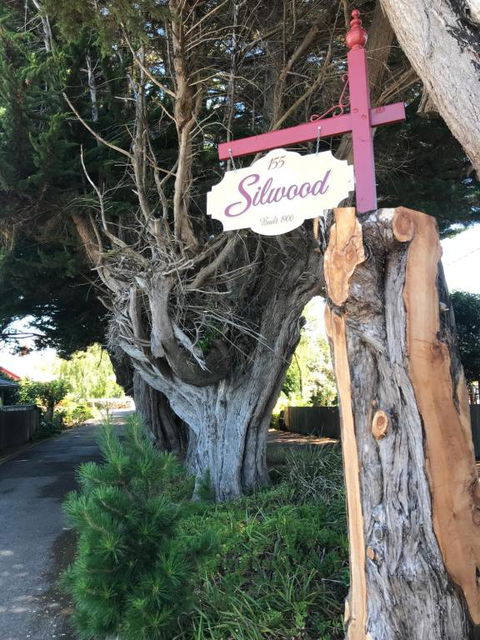 Silwood Apartment Fully Self Contained With Kitchen And Laundry - Accommodation Georgetown 2